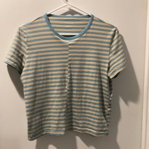 Everlane box cut cropped tshirt